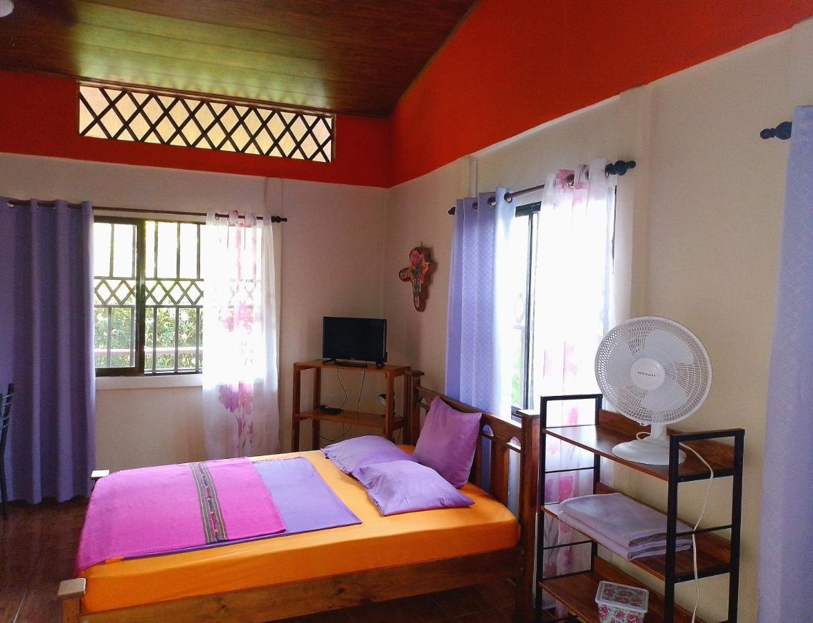 Casa Alegra Apartment Puerto Viejo de Talamanca Luaran gambar