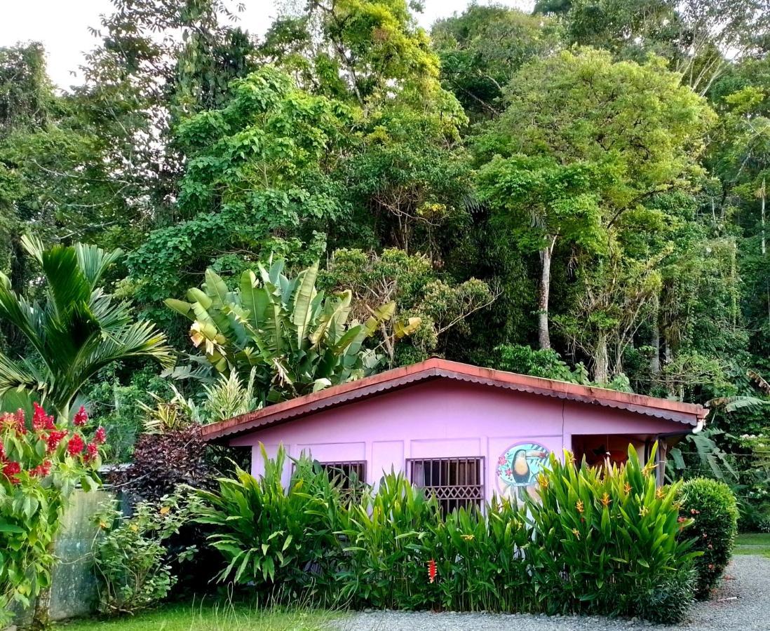 Casa Alegra Apartment Puerto Viejo de Talamanca Luaran gambar