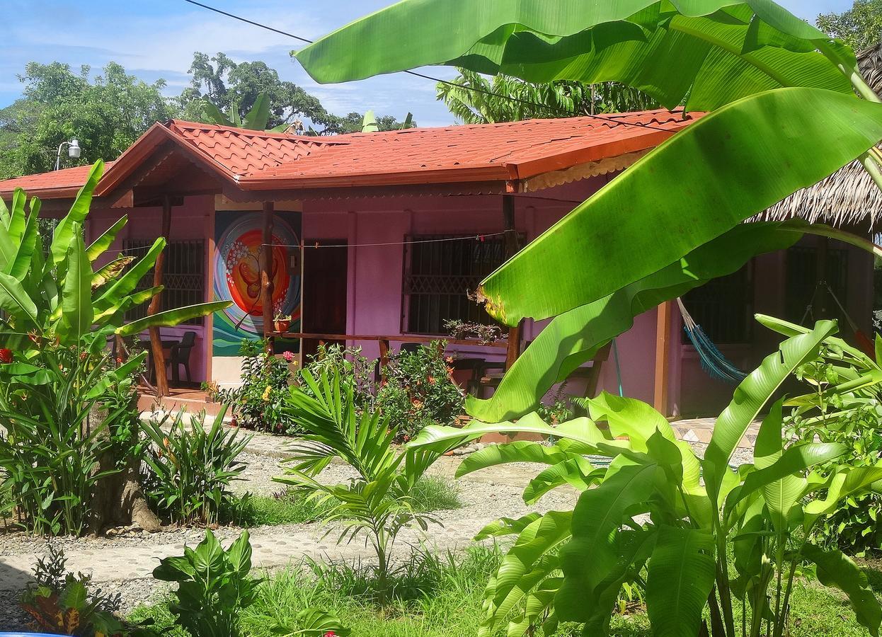 Casa Alegra Apartment Puerto Viejo de Talamanca Luaran gambar