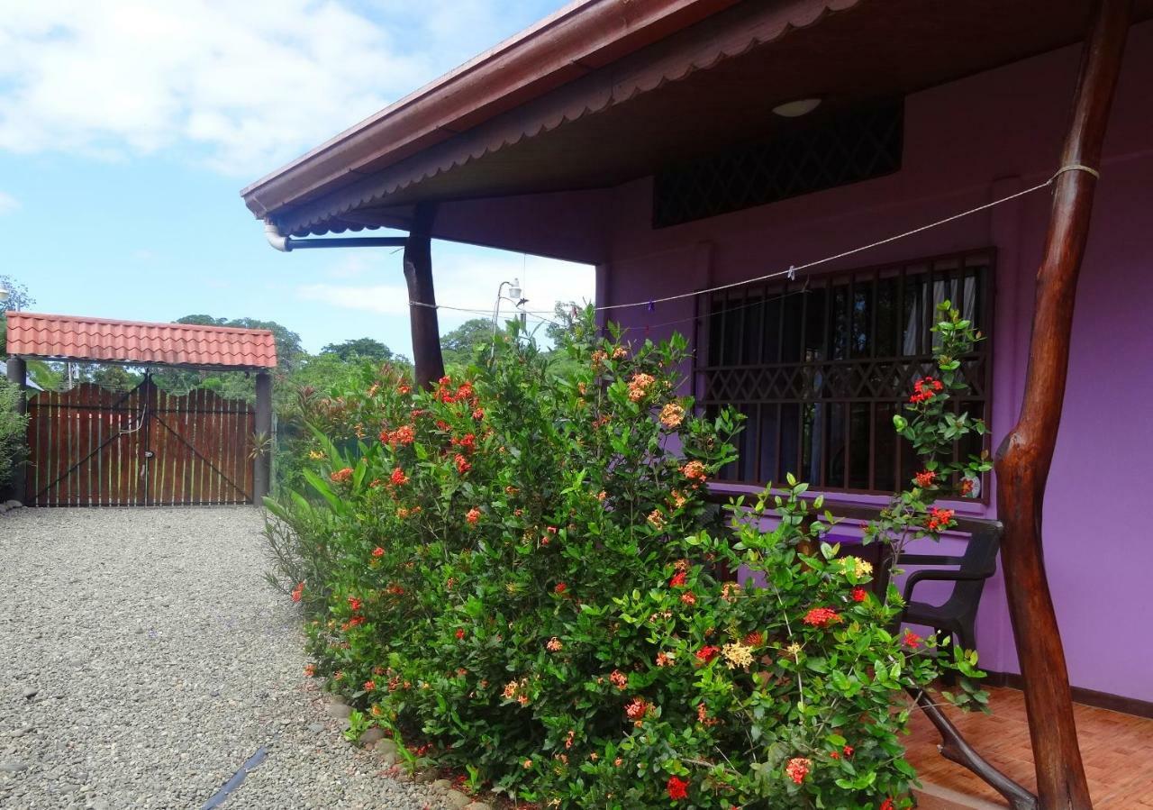 Casa Alegra Apartment Puerto Viejo de Talamanca Luaran gambar